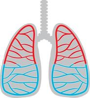 ícone de pulmões humanos em fundo branco vetor