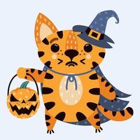 tigre listrado bonito dos desenhos animados. gato em um chapéu de bruxa e capa. o animal está segurando uma abóbora de halloween. um gatinho em uma fantasia comemora o dia de todos os santos. ícone de vetor isolado no branco. estilo plano.