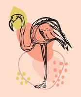 flamingos cor de rosa. conjunto com flamingos. pássaros exóticos. ilustração vetorial de estoque com aves do paraíso. vetor