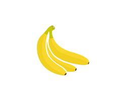 Bananan fruits vector logo de modelo