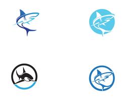 Tubarão peixe animais logotipo e símbolos vector