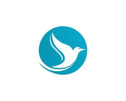Modelo de logotipo de pomba de pássaro vector app ilustração