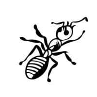 formiga trabalhadora com antenas em estilo de rabiscos. arte de linha. vetor de insetos simples pretos, esboço de pragas, ícone, desenhados à mão. vista superior vintage