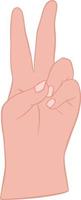 mão de cor vetorial mostrando sinal de vencedor ou número dois. vetor