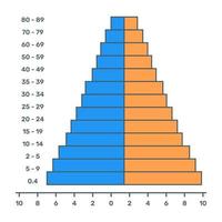 um vetor plano e moderno de gráfico populacional, design editável