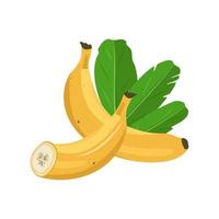 conjunto de banana inteira e meia amarela doce com folhas. deliciosas frutas exóticas saudáveis. ilustração vetorial de comida plana vetor