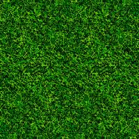 textura de grama verde futebol