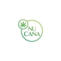 logotipo de folha de cannabis medicinal. estilo vintage clássico vetor