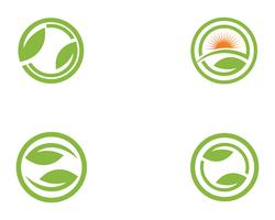 Tree Leaf green Vector icon Modelo de design de ilustração
