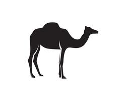 Vetor de modelo de logotipo de camelo