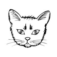 desenho vetorial simples desenhado à mão com contorno preto. focinho, cabeça de um gato despenteado em um fundo branco. animais, sem-teto, animais domésticos. para impressões, adesivos, etiquetas. vetor