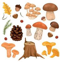 conjunto de cogumelos da floresta vetor