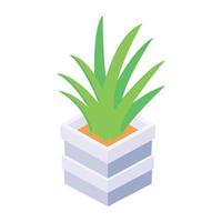 ícone isométrico único e moderno da planta de aloe vera vetor