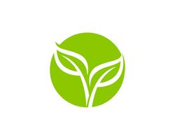 Logotipos de vetor de elemento de natureza ecologia folha verde