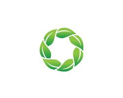 Vetor de logotipo de folha verde