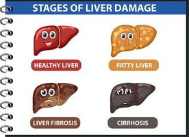 diagrama mostrando os estágios de danos no fígado vetor