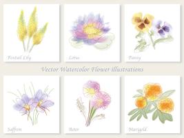 Conjunto de seis ilustrações de flor de vetor. vetor