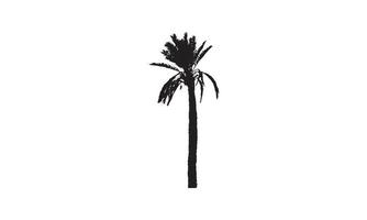 design do logotipo da ilustração vetorial de palma preto e branco vetor
