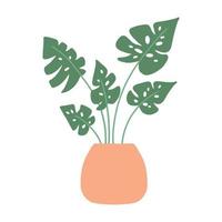 monstera em uma panela. planta de casa. decoração de interiores. ilustração vetorial isolada em um fundo branco. vetor