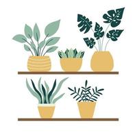 ilustração em vetor de plantas de interior em pé em uma prateleira. várias plantas de casa estão na prateleira. Isolado em um fundo branco.