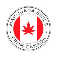 Sementes de maconha do ícone do Canadá. vetor