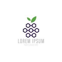 vetor de design de logotipo de uva com conceito hexagonal.