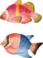 conjunto de peixes vermelhos e azuis, ilustrações em aquarela pintadas à mão. vetor