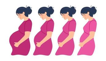 gravidez. um pôster moderno com as fases da gravidez. vetor