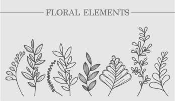 coleção de flores de ramos de folhas e botânica. para convites de casamento, postais, cartazes, rótulos de cosméticos e perfumes, papel de embalagem. ilustração vetorial vetor