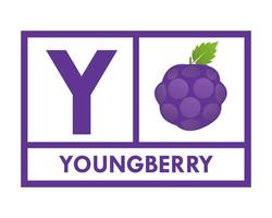 ilustração de modelo de logotipo de frutas de baga jovem vetor