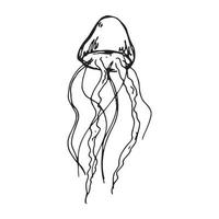 ilustração vetorial mão desenhada de água-viva. esboço bonito da medusa isolado no fundo branco. para impressão, web, cartão, design, decoração. vetor