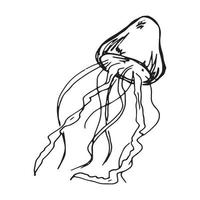 ilustração vetorial mão desenhada de água-viva. esboço bonito da medusa isolado no fundo branco. para impressão, web, cartão, design, decoração.