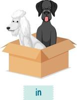 design de cartão de palavras de preposição com cães na caixa vetor