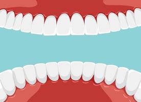 dentes humanos dentro da boca com dentes branqueados vetor