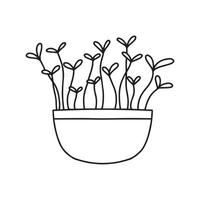 pote de microgreens. ervilhas microgreens, rabanete, cebola, rúcula. girassol, beterraba e outros. ilustração vetorial isolada no fundo branco. estilo doodle. vetor