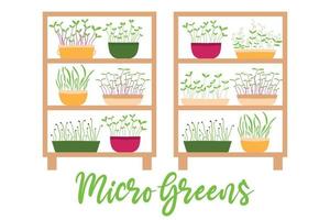 ilustração em vetor de uma estela com vasos de plantas. prateleira com microgreens. cultivo de microverdes.