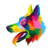 retrato de cabeça de cão pastor alemão abstrato de tintas multicoloridas. desenho colorido. ilustração vetorial de tintas vetor