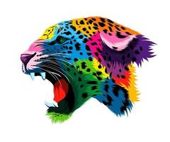 retrato abstrato da cabeça de um leopardo rosnando, sorriso de um leopardo de tintas multicoloridas. desenho colorido. ilustração vetorial de tintas vetor