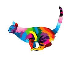 gato europeu abstrato em um salto, uma raça de gatos domésticos de cabelos curtos. ilustração vetorial de tintas vetor
