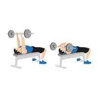 Man doing Sumo Barbell deadlifts exercise. Flat vector illustration  isolated on white background 15708596 Vector Art at Vecteezy