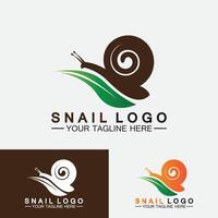 modelo de logotipo caracol ilustração vetorial ícone design vetor