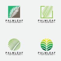 definir modelo de design de vetor de logotipo de folha de palmeira tropical