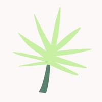 folhas de palmeira desenhadas à mão isoladas em branco. vetor