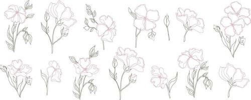vetor definir flores padrão com folhas. ilustração botânica para papel de parede, têxtil, tecido, vestuário, papel, cartões postais