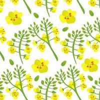 flor de colza canola padrão. fundo amarelo e verde de flores vetor