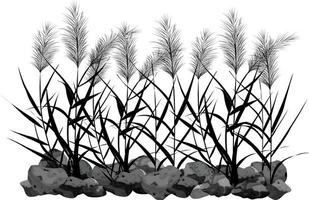 cana desenhada à mão ou grama de pampa cercada por pedras cinzentas. silhueta de cana em fundo branco. borda ou quadro de plantas verdes.