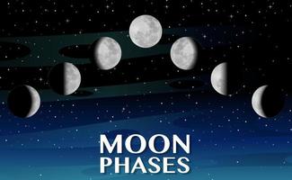 fases da lua para o ensino de ciências vetor