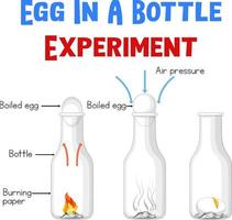 diagrama mostrando experimento com ovos vetor