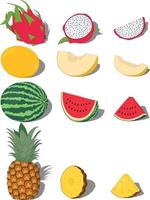 frutas tropicais doces inteiras com ilustração vetorial de pedaços e fatias vetor