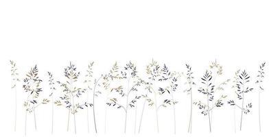 bandeira branca horizontal ou pano de fundo floral. grama de campo vector a ilustração das ações. botânico de primavera. Isolado em um fundo branco.